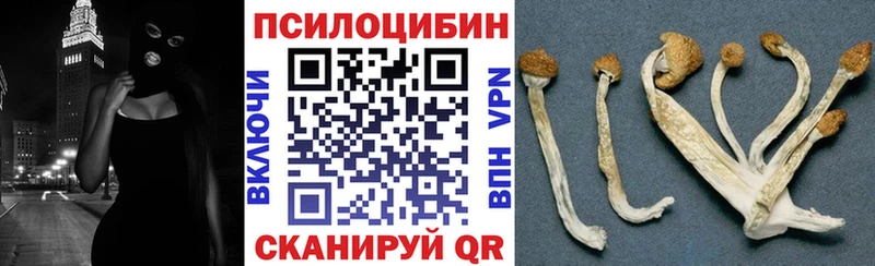 закладки Белозерск Псилоцибиновые грибы прущие грибы